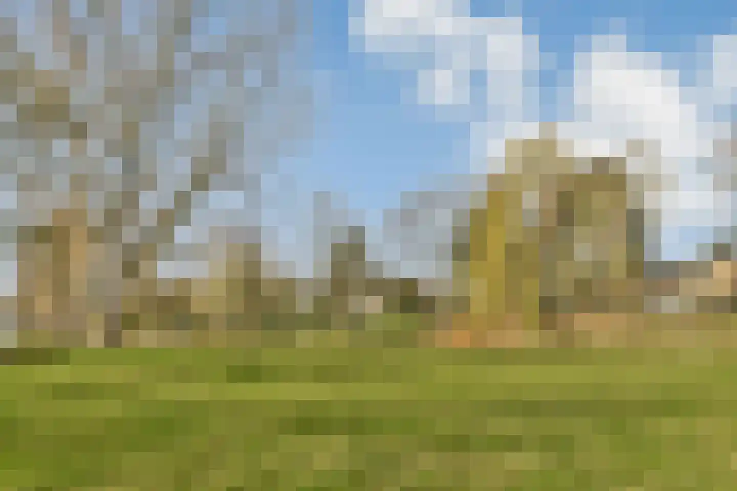 Lisztlaan 25 Rotterdam thumbnail 30