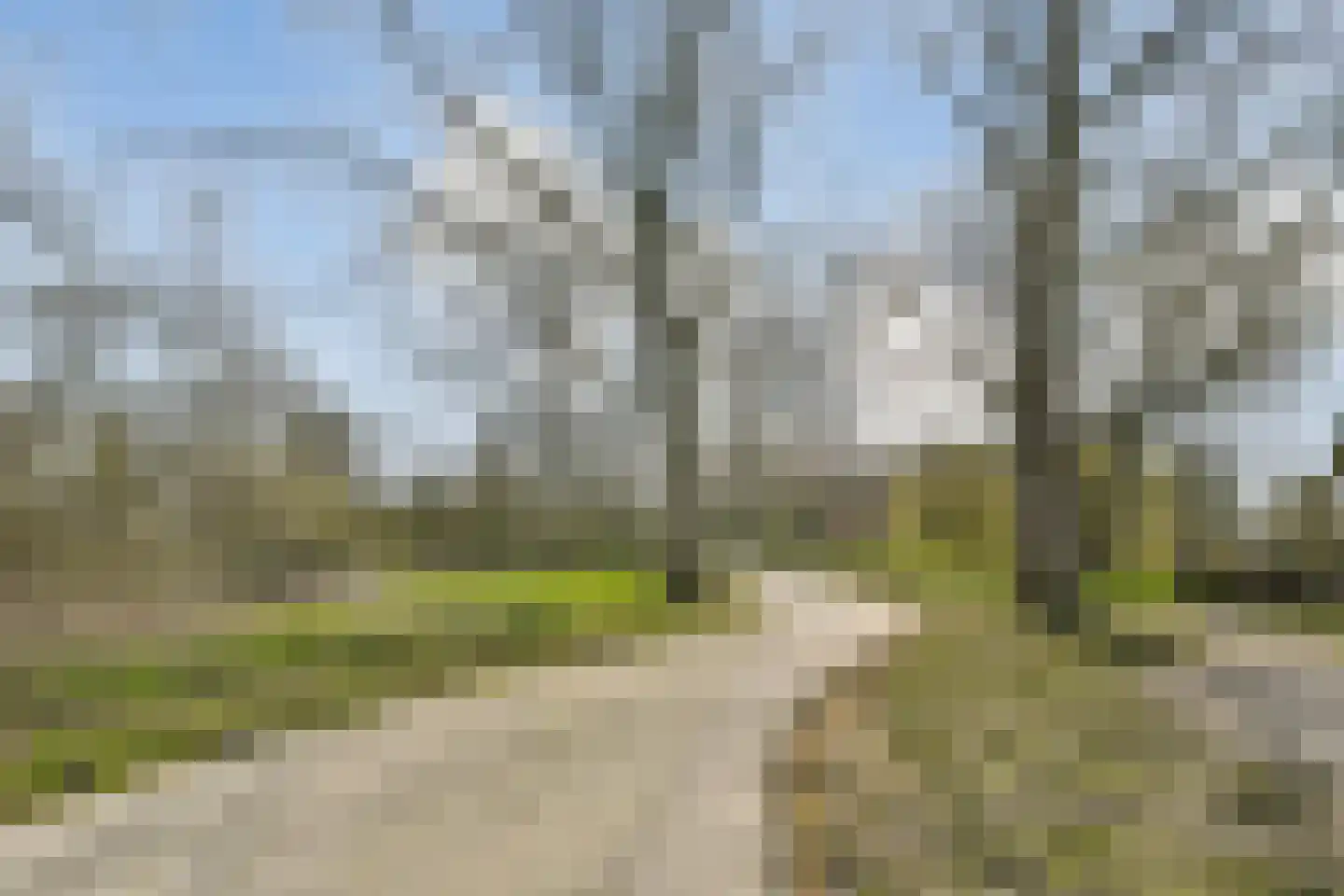 Lisztlaan 25 Rotterdam thumbnail 32