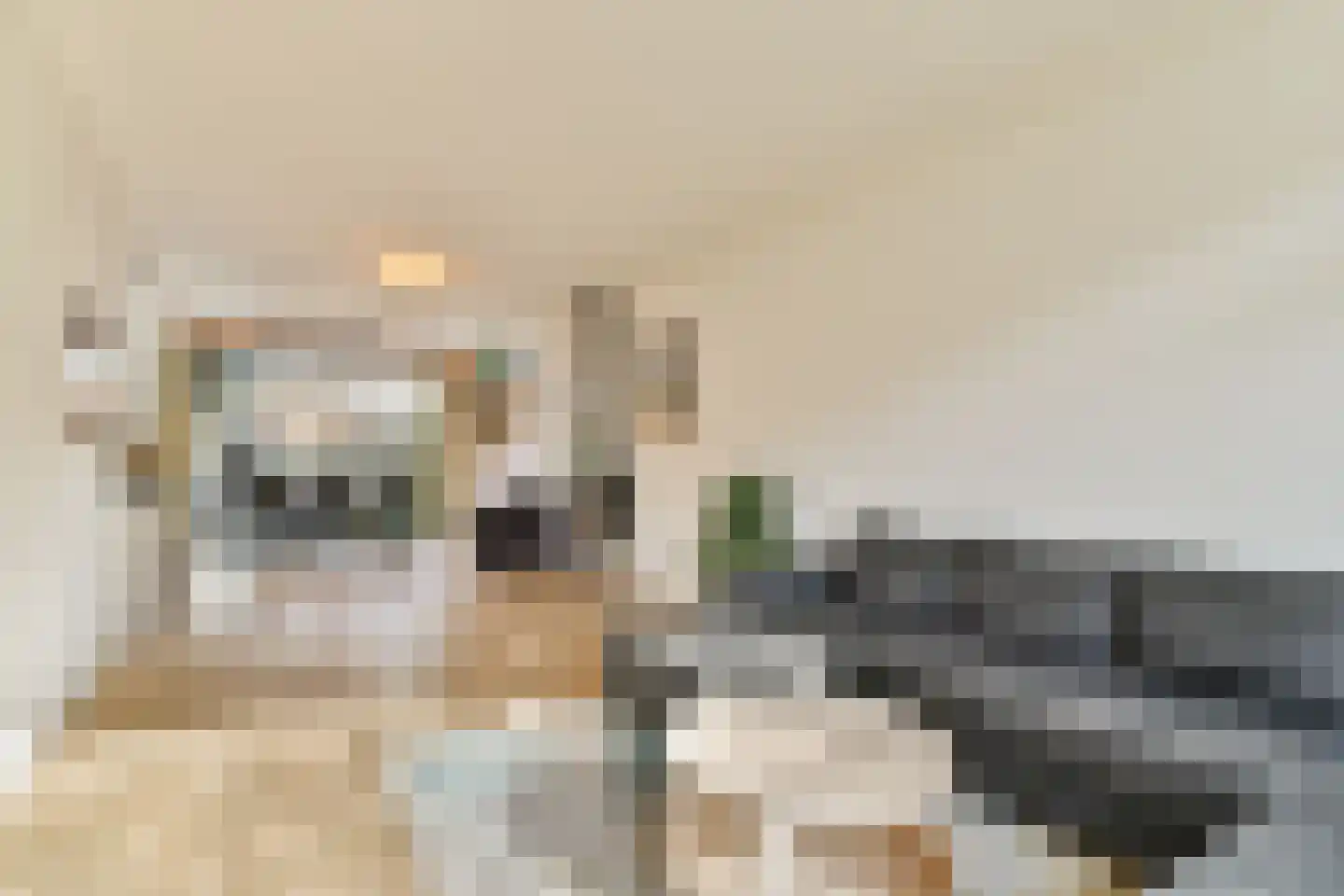 Lisztlaan 25 Rotterdam thumbnail 6