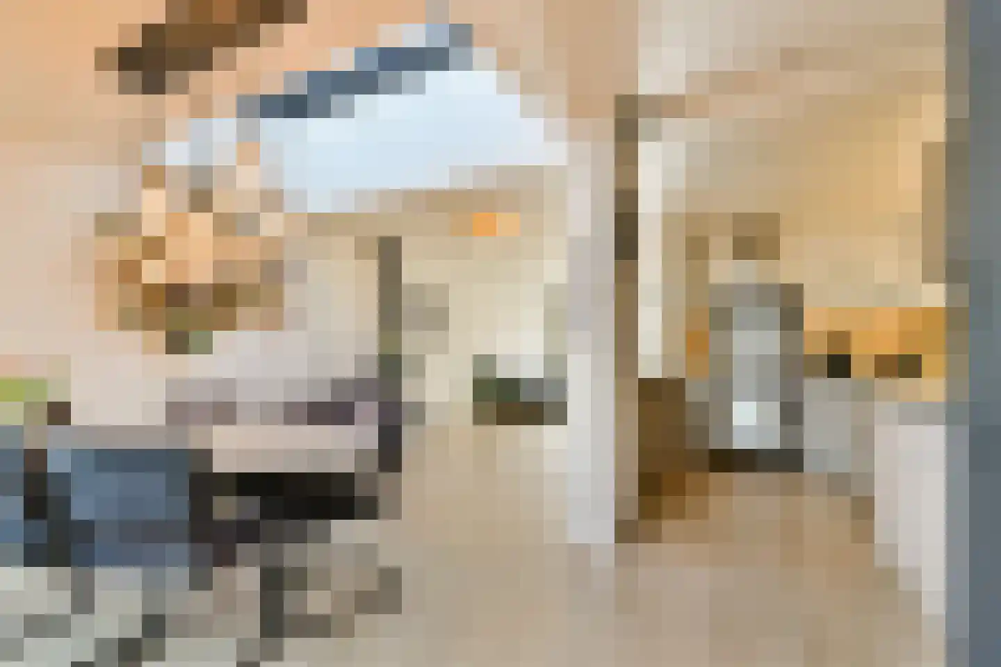 Lisztlaan 25 Rotterdam thumbnail 8