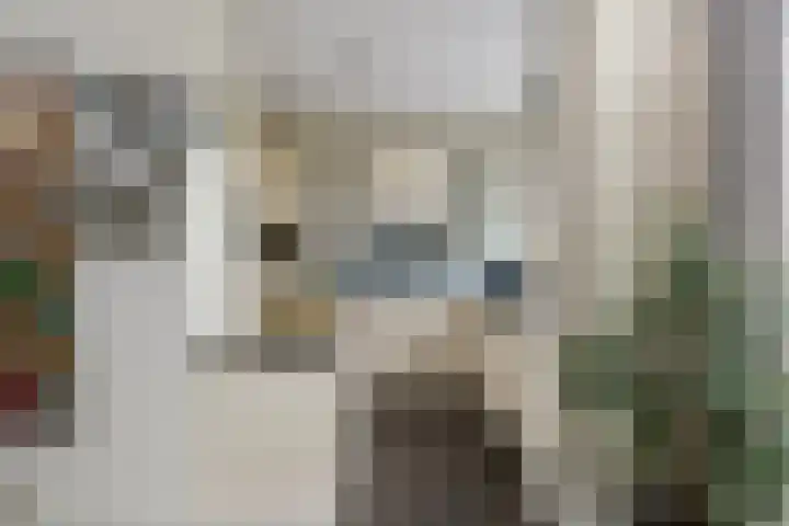 Lisztlaan 5 Rotterdam thumbnail 12
