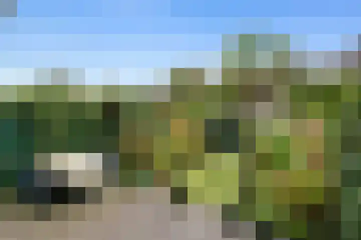 Lisztlaan 5 Rotterdam thumbnail 14