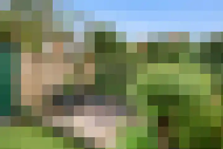 Lisztlaan 5 Rotterdam thumbnail 17