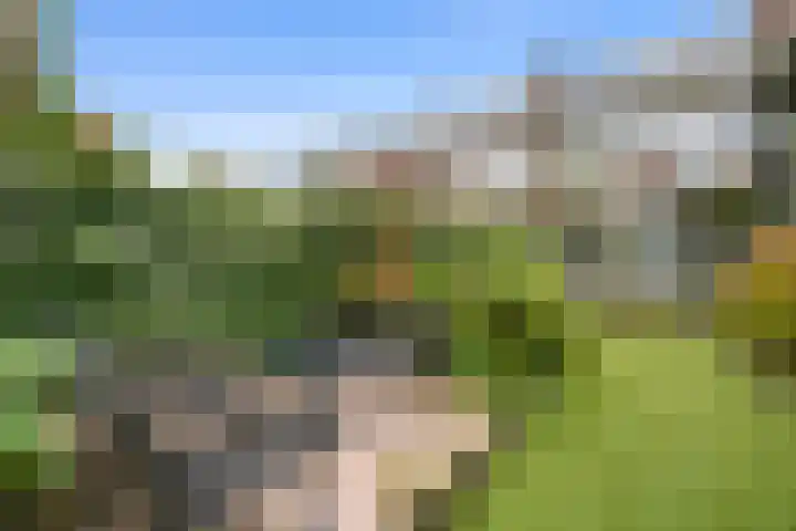 Lisztlaan 5 Rotterdam thumbnail 18