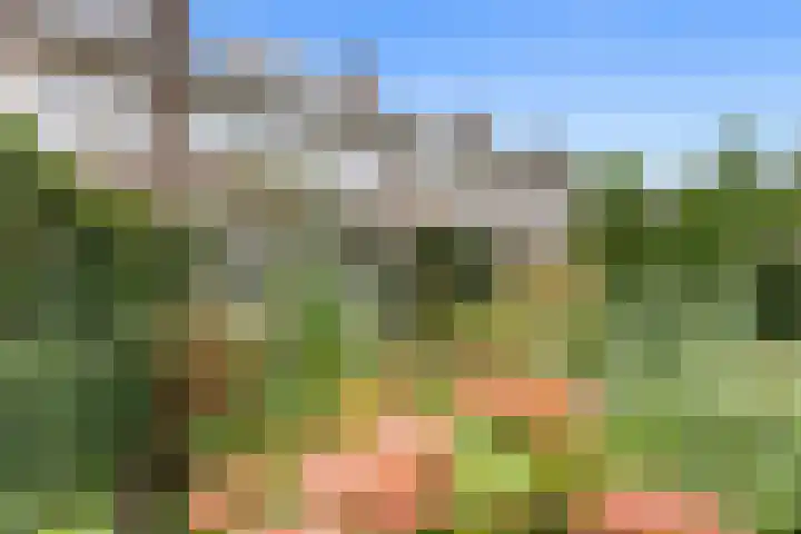 Lisztlaan 5 Rotterdam thumbnail 19