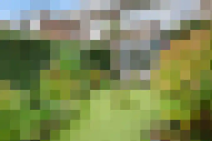 Lisztlaan 5 Rotterdam thumbnail 20