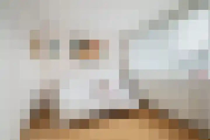 Lisztlaan 5 Rotterdam thumbnail 24