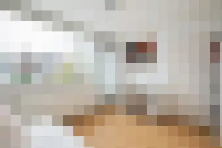 Lisztlaan 5 Rotterdam thumbnail 25