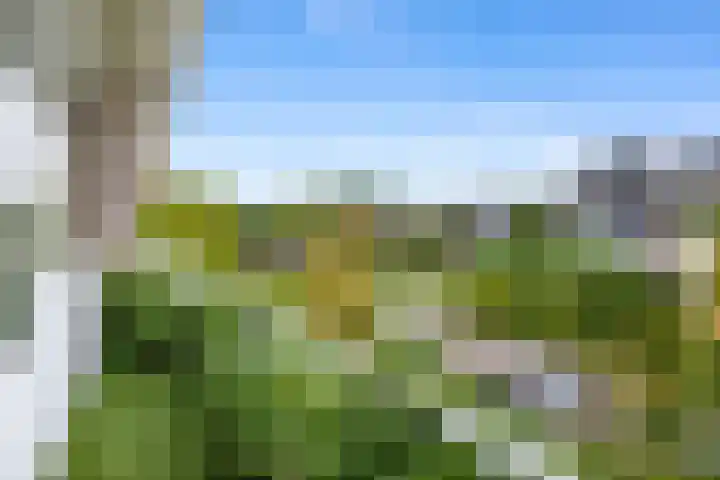 Lisztlaan 5 Rotterdam thumbnail 28