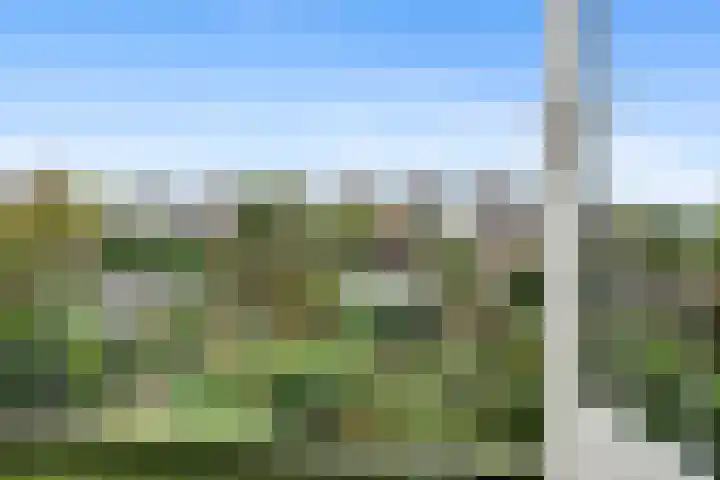 Lisztlaan 5 Rotterdam thumbnail 29