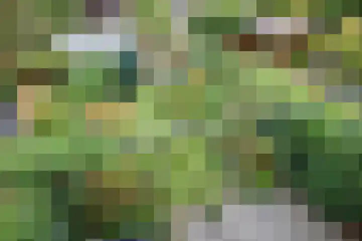 Lisztlaan 5 Rotterdam thumbnail 30