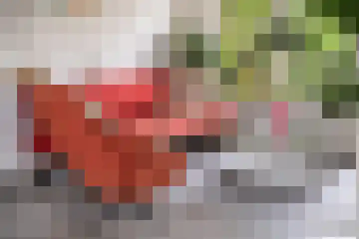Lisztlaan 5 Rotterdam thumbnail 5