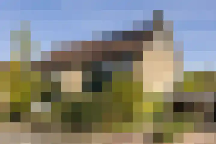Lisztlaan 6 Enschede thumbnail 5