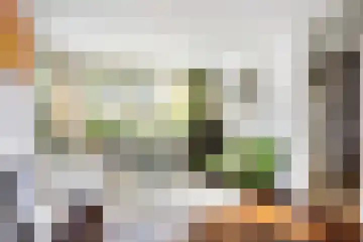 Lisztlaan 6 Enschede thumbnail 7