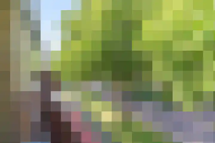 Lisztlaan 61 Rotterdam thumbnail 29