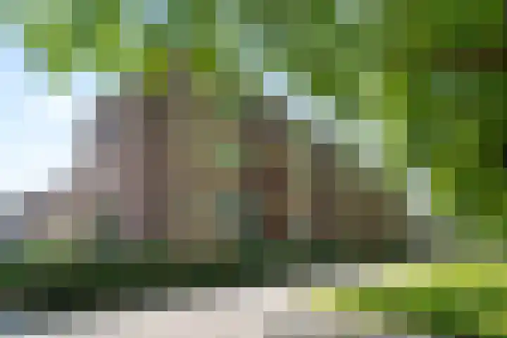 Lisztlaan 61 Rotterdam thumbnail 6