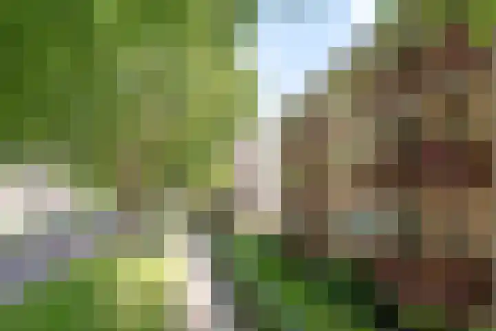Lisztlaan 61 Rotterdam thumbnail 7