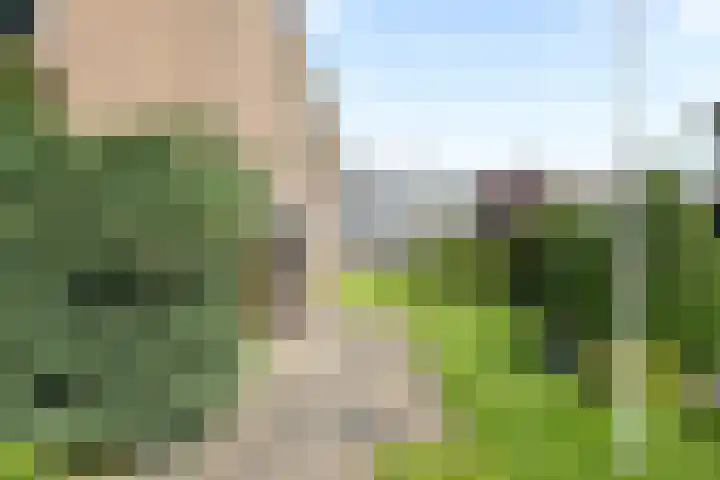 Lisztlaan 61 Rotterdam thumbnail 8