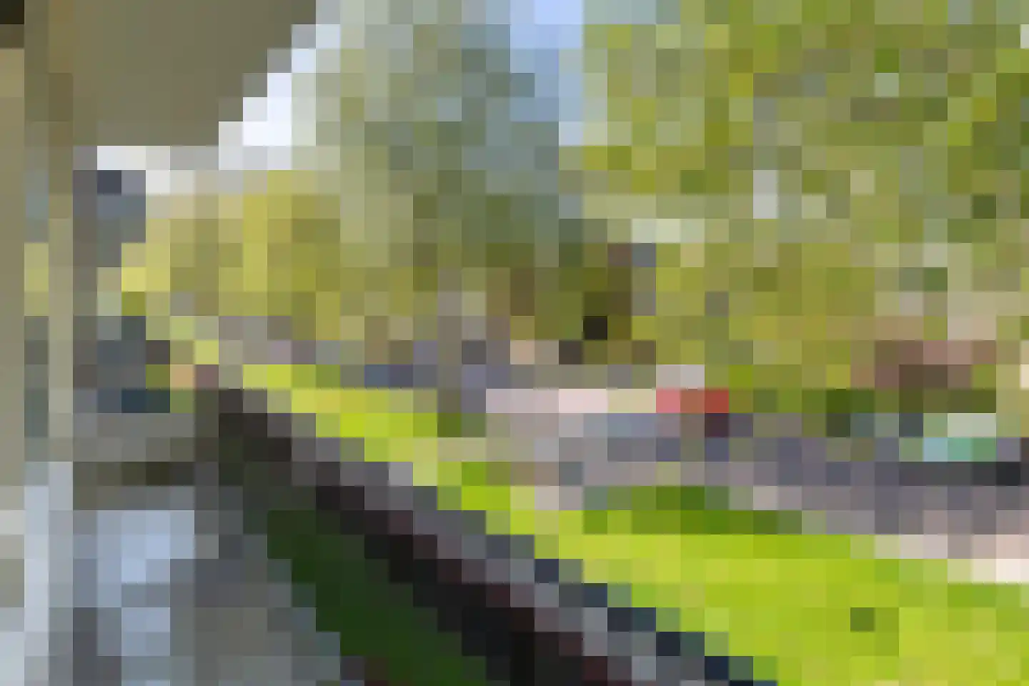 Lisztlaan 62 Rotterdam thumbnail 6
