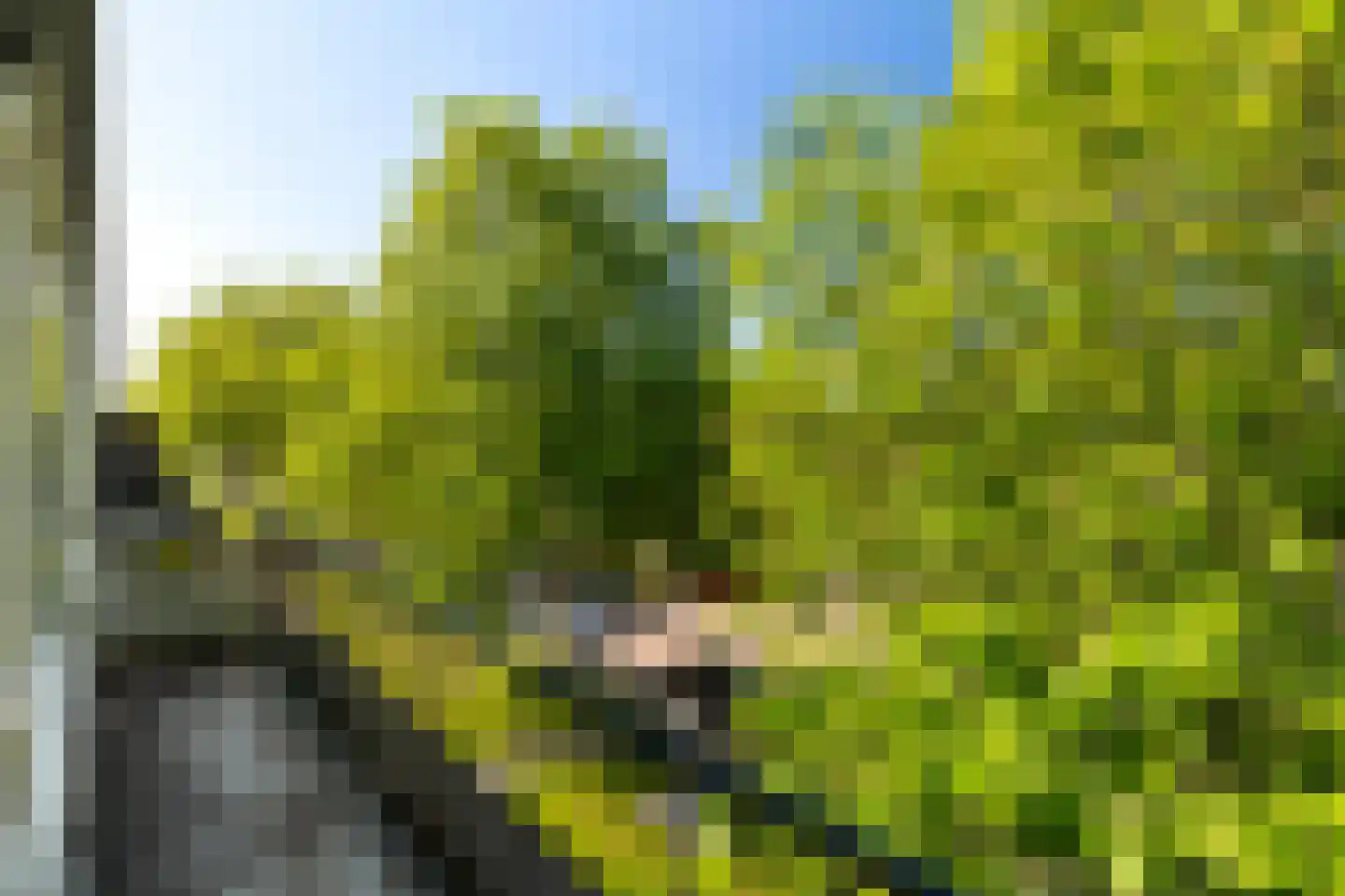Lisztlaan 64 Rotterdam thumbnail 8