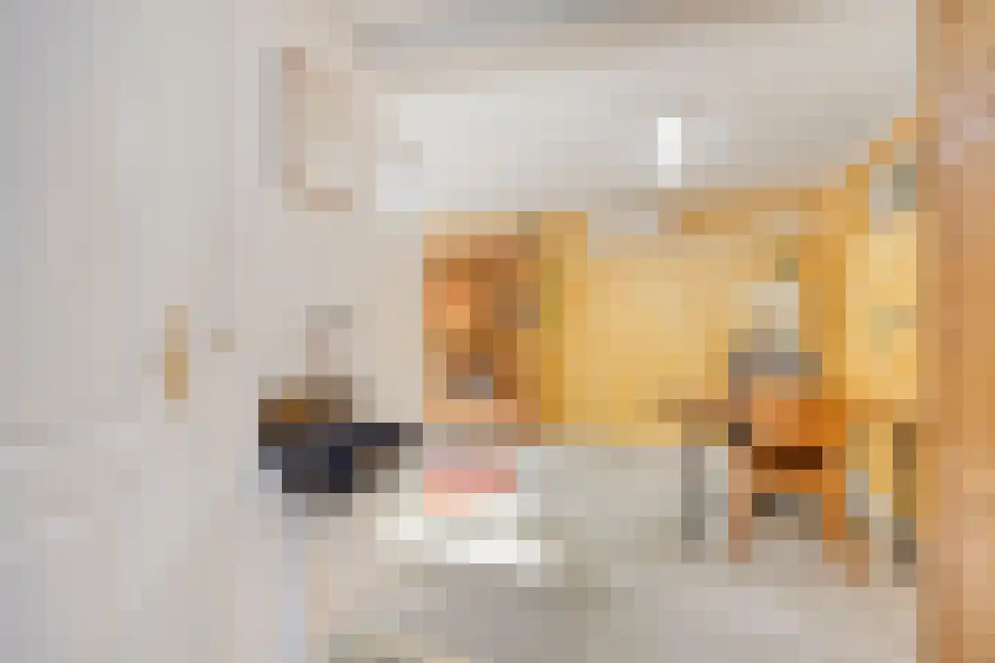 Lisztlaan 9 Assen thumbnail 15