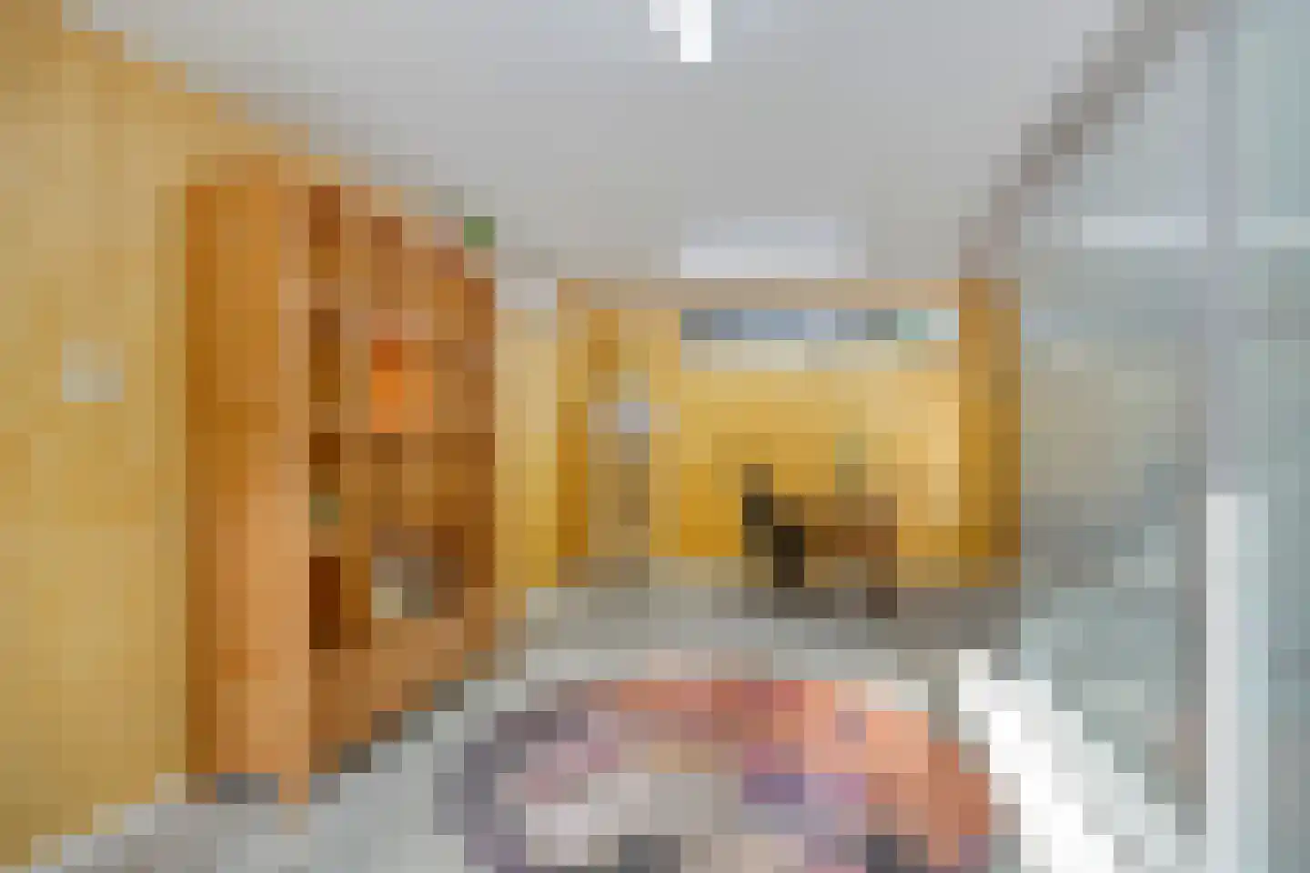 Lisztlaan 9 Assen thumbnail 17