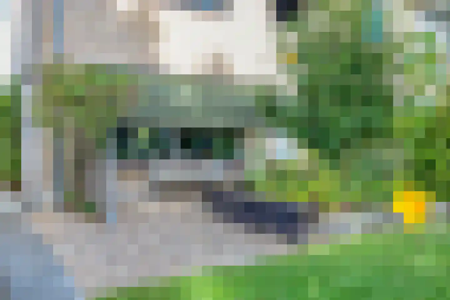 Lisztlaan 9 Assen thumbnail 31