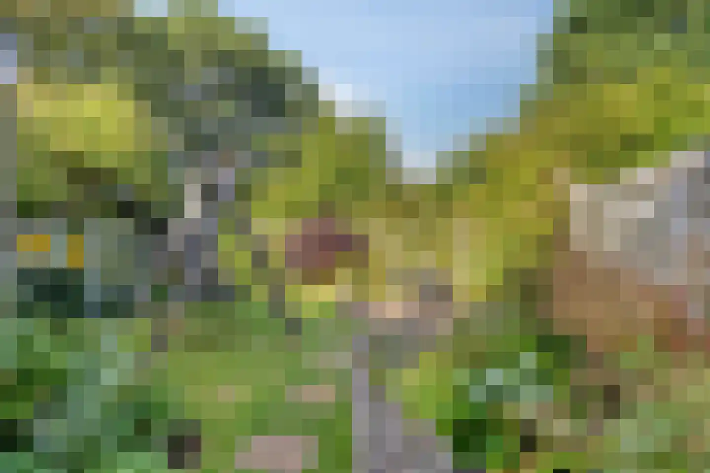 Lisztlaan 9 Assen thumbnail 35