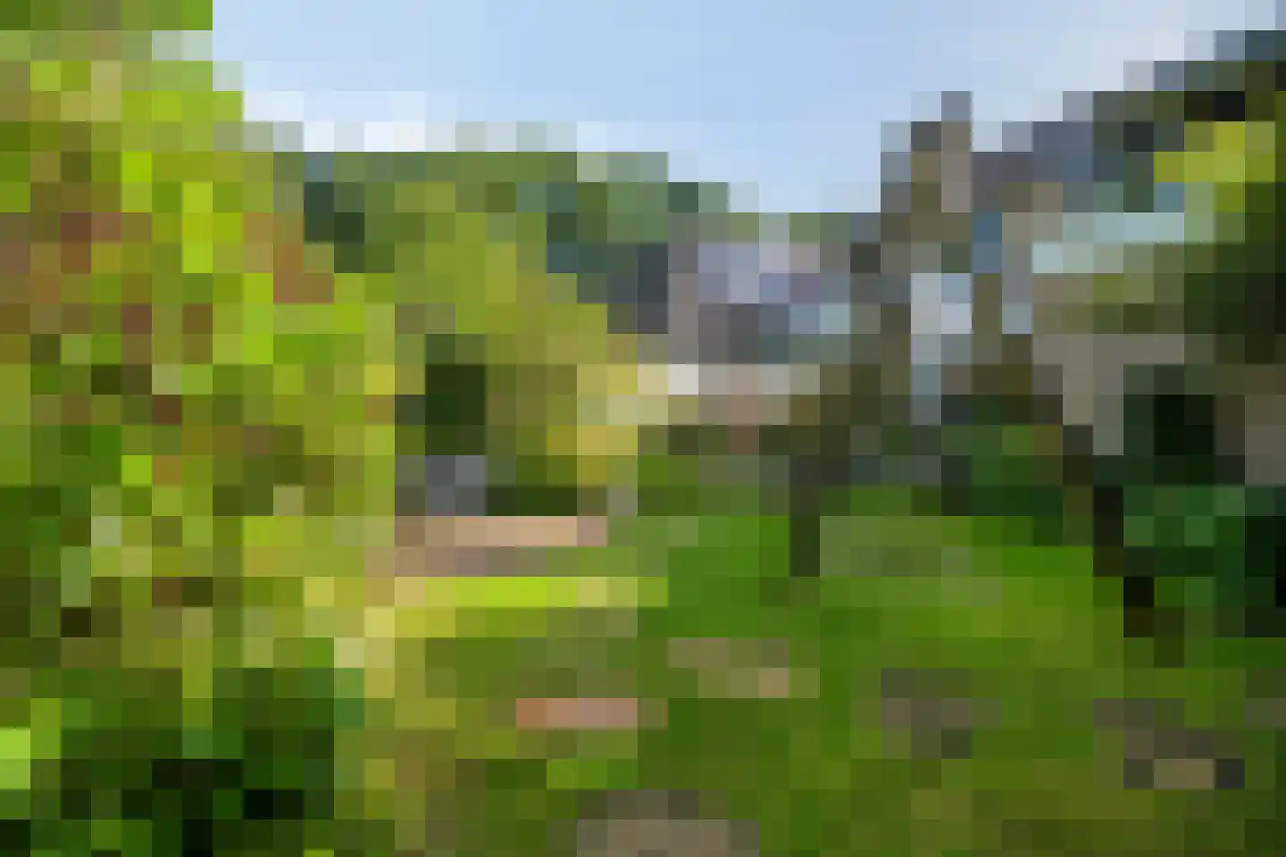 Lisztlaan 9 Assen thumbnail 36