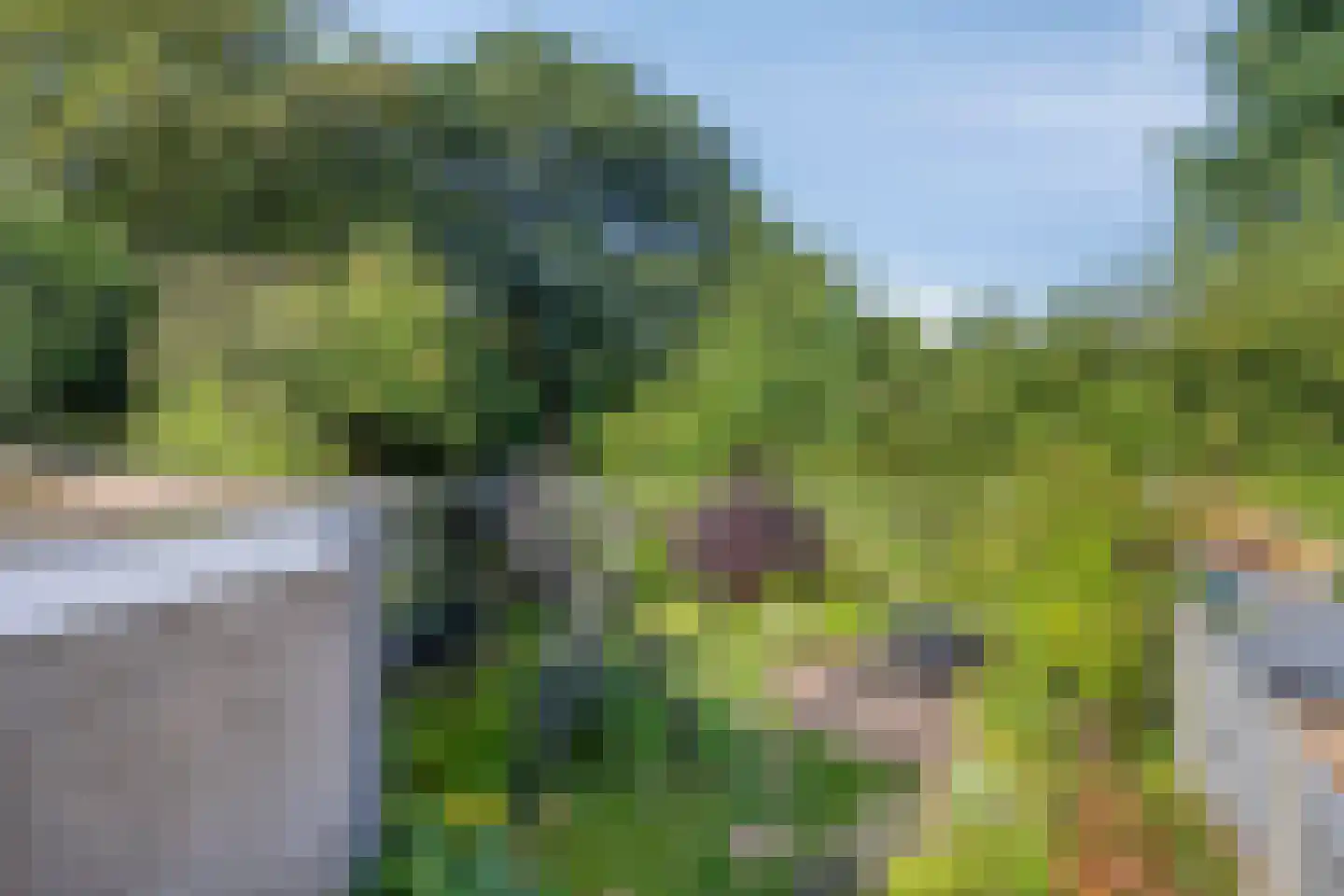 Lisztlaan 9 Assen thumbnail 37