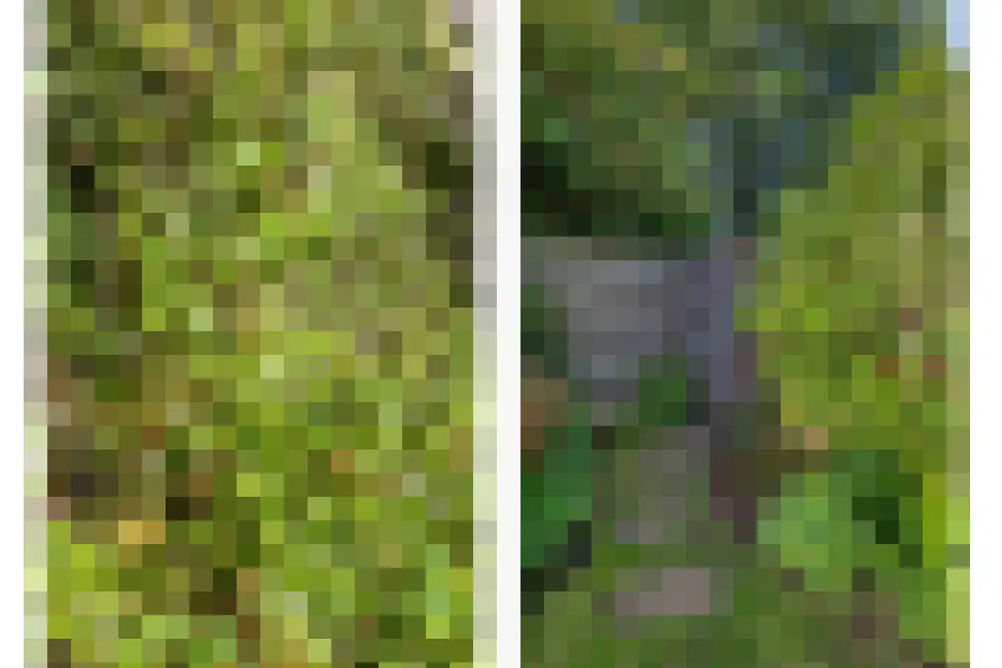 Lisztlaan 9 Assen thumbnail 38