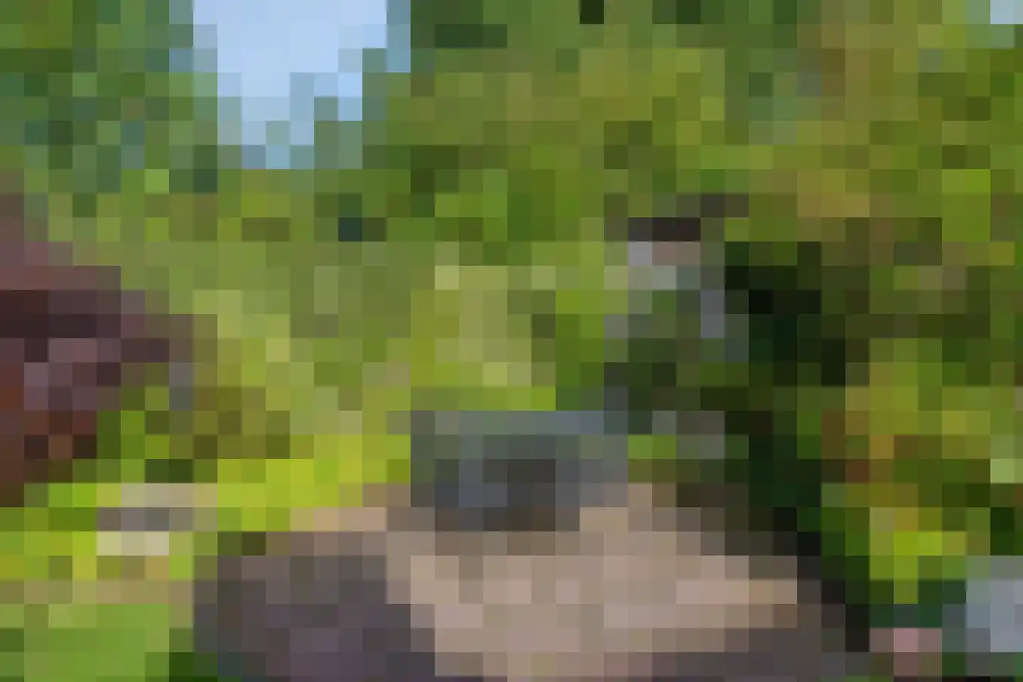 Lisztlaan 9 Assen thumbnail 39