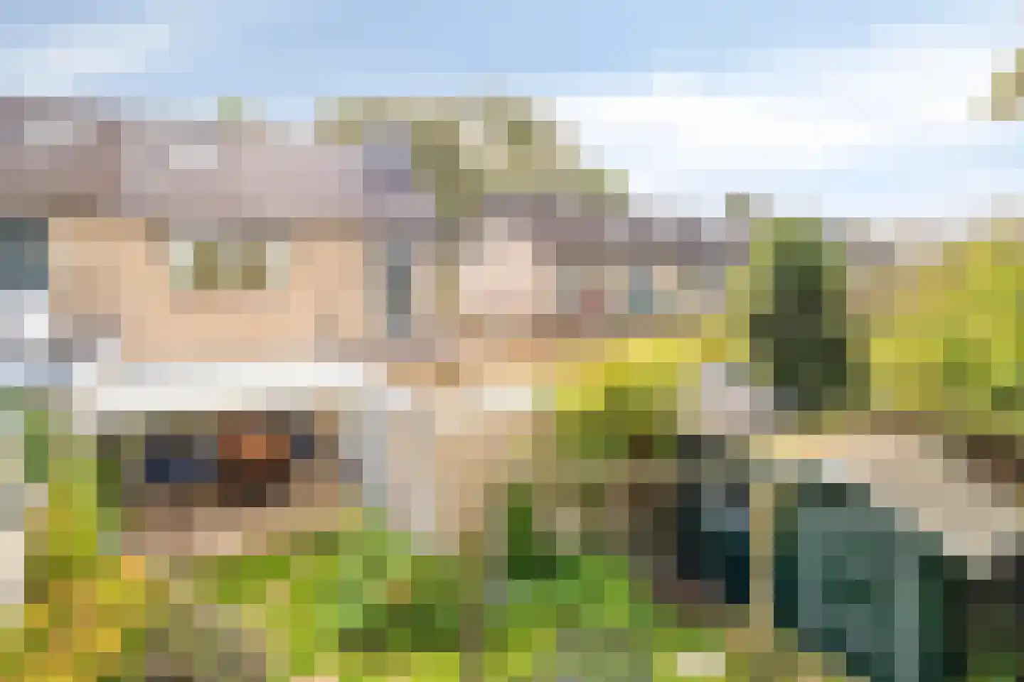 Lisztlaan 9 Assen thumbnail 41