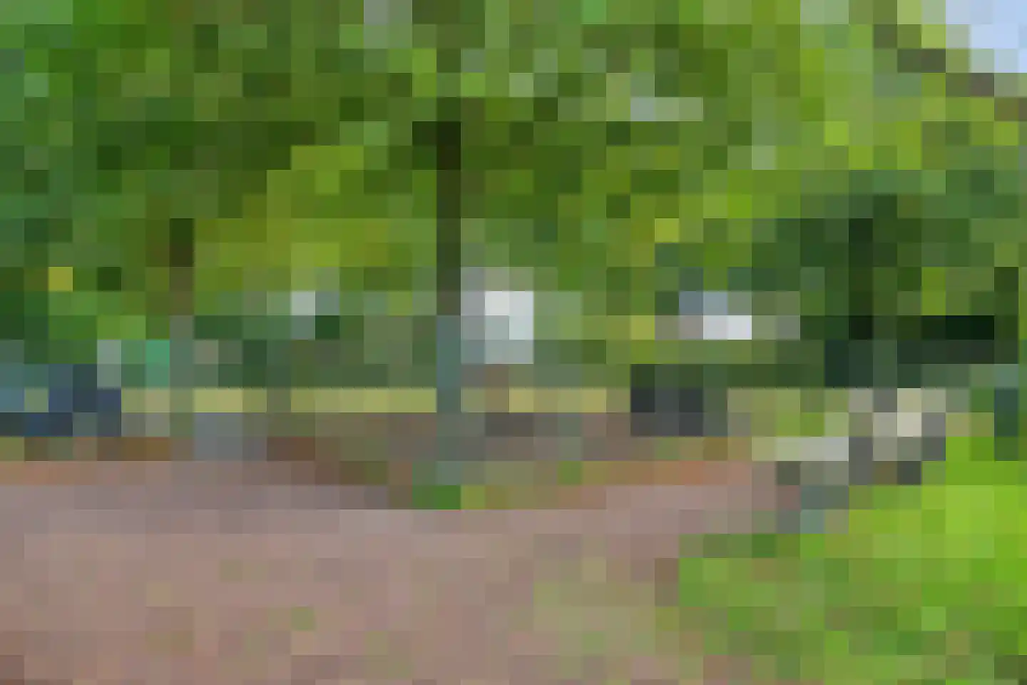 Lisztlaan 9 Assen thumbnail 44