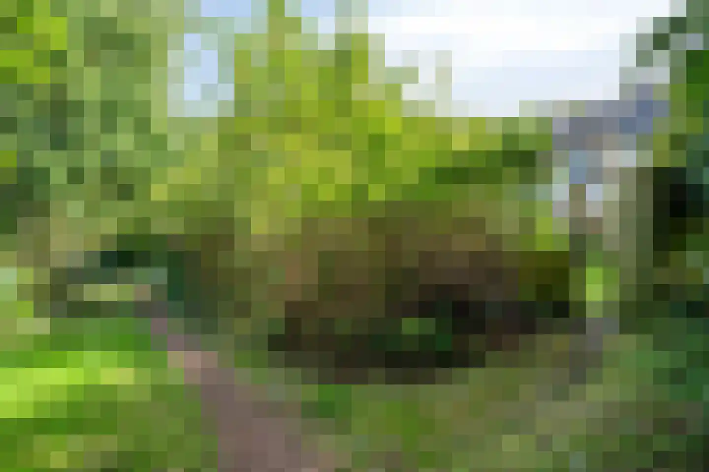 Lisztlaan 9 Assen thumbnail 46