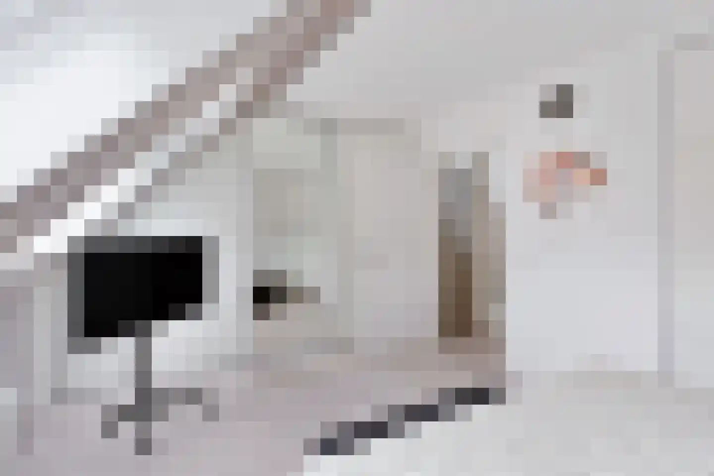 Lisztpad 1 Almere thumbnail 23