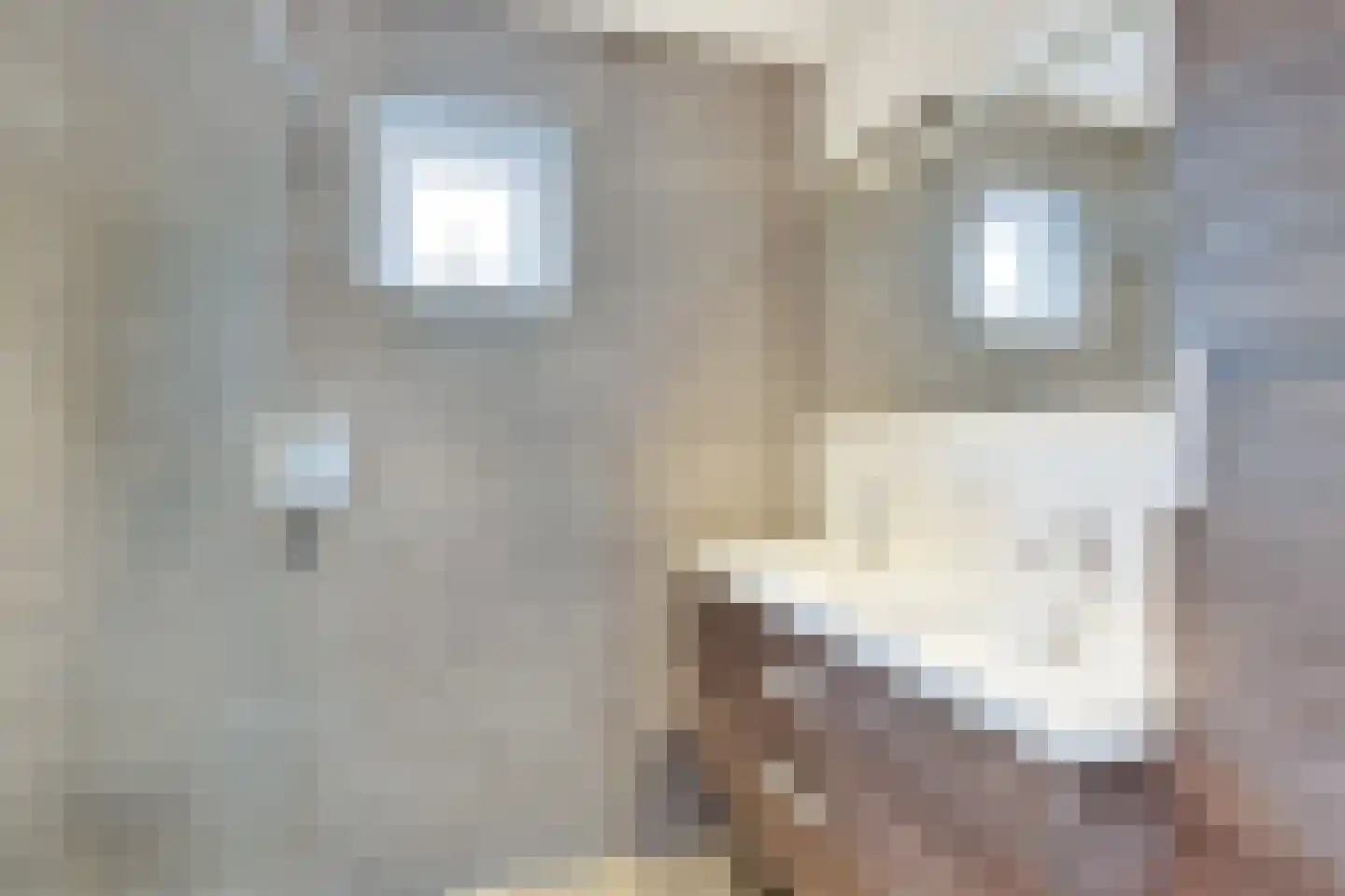 Lisztpad 1 Almere thumbnail 29