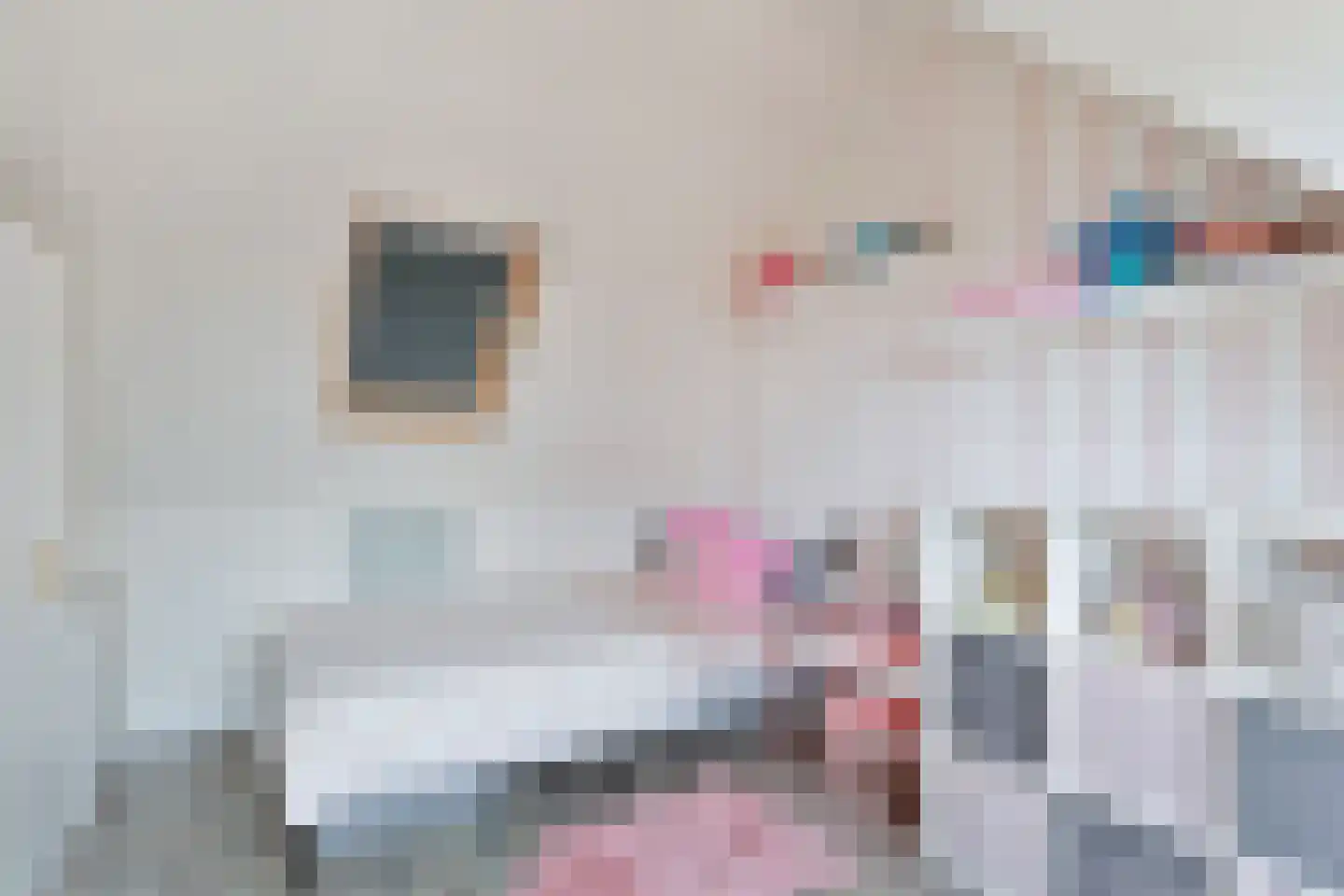 Lisztpad 1 Almere thumbnail 37