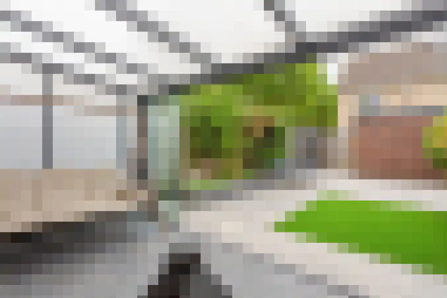 Lisztpad 1 Almere thumbnail 40