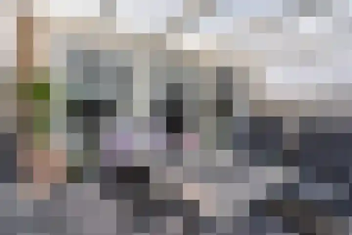 Lisztpad 21 Almere thumbnail 14