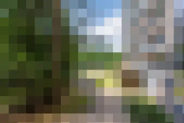 Lisztplein 15 Schiedam thumbnail 17