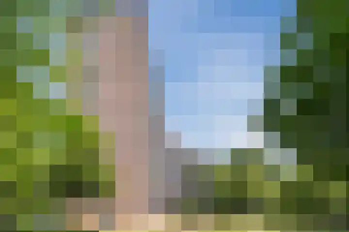 Lisztplein 15 Schiedam thumbnail 25