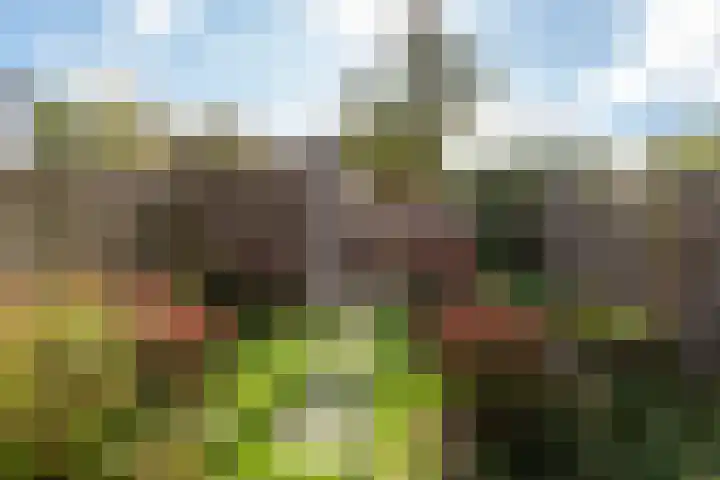 Lisztplein 36 Zeist thumbnail 24