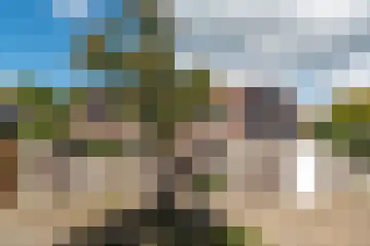 Lisztplein 36 Zeist thumbnail 25