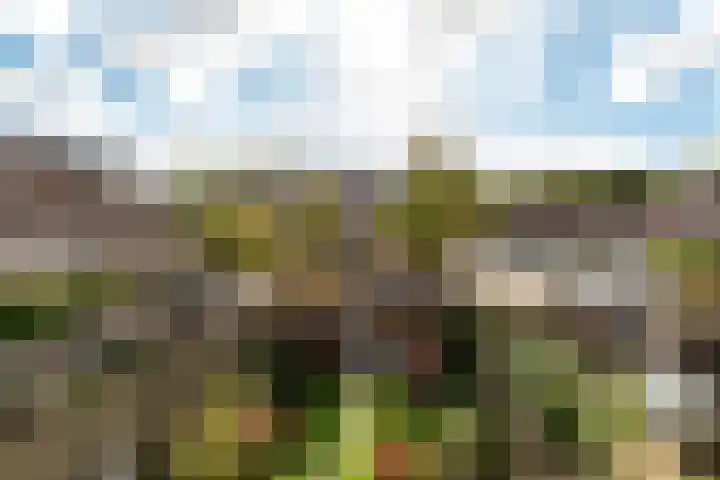 Lisztplein 36 Zeist thumbnail 31
