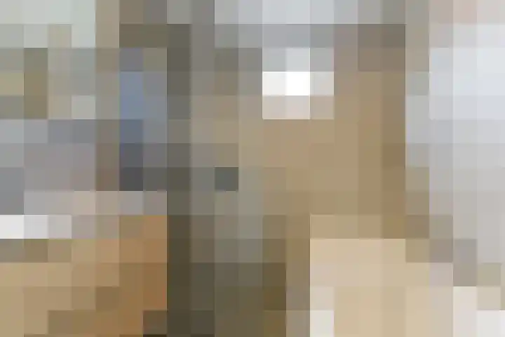 Lisztplein 36 Zeist thumbnail 40