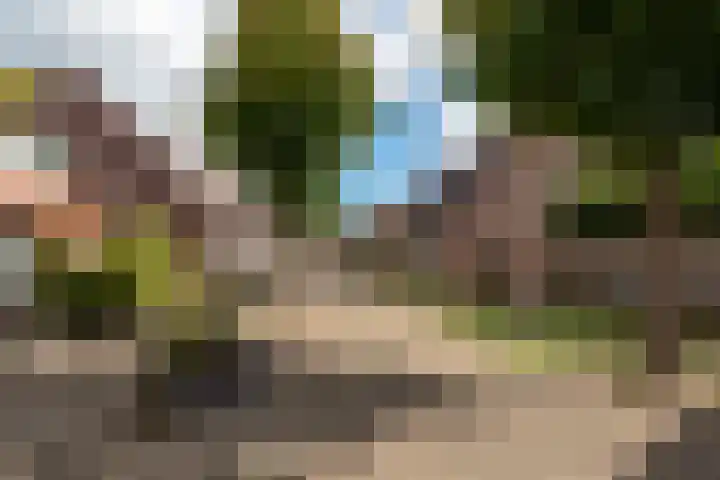 Lisztplein 36 Zeist thumbnail 45