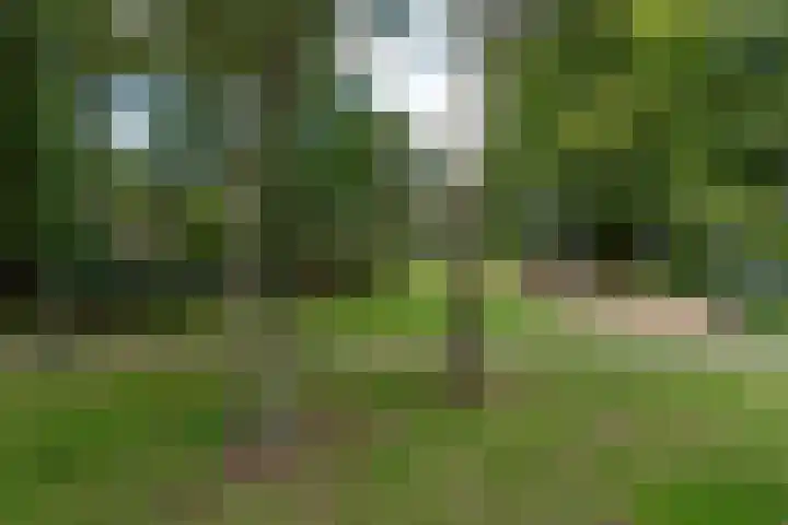 Lisztplein 36 Zeist thumbnail 49