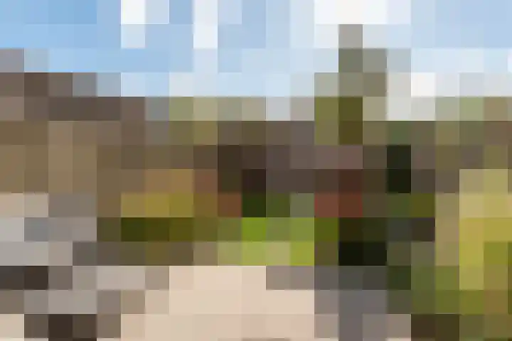 Lisztplein 36 Zeist thumbnail 5
