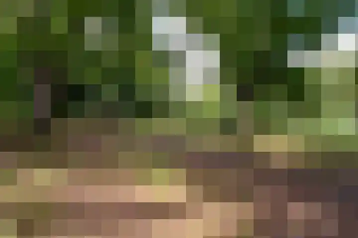 Lisztplein 36 Zeist thumbnail 50